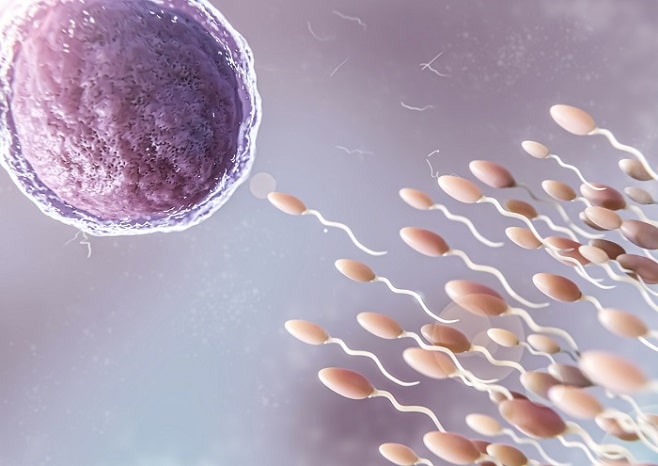 Infertility Treatments