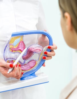 Gynaecology